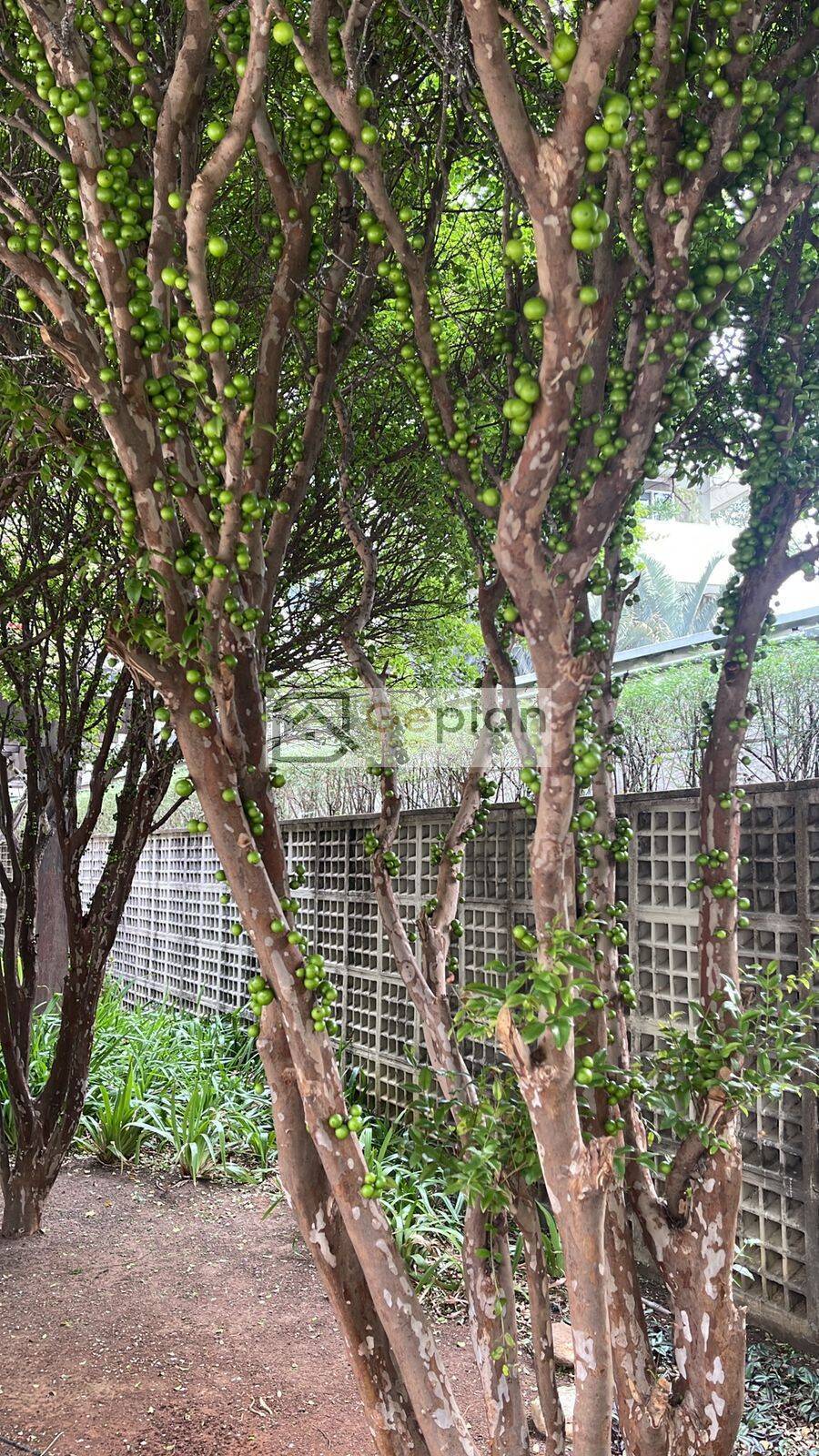 Apartamento, 2 quartos, 79 m² - Foto 24